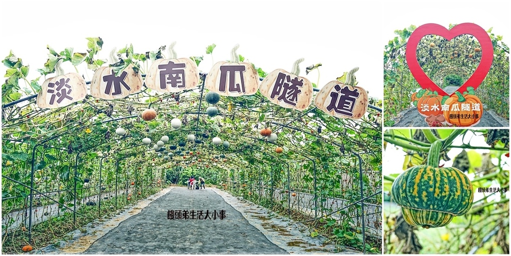 新北,淡水,新北景點,淡水景點,淡水南瓜隧道,南瓜隧道,淡水農場,南瓜,農場