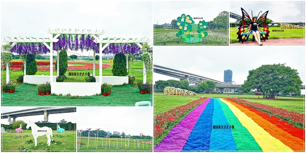 新北,板橋,新北景點,板橋景點,蝴蝶公園地景花海,蝴蝶公園,新北公園,板橋公園,花織夢境,裝置藝術,公園