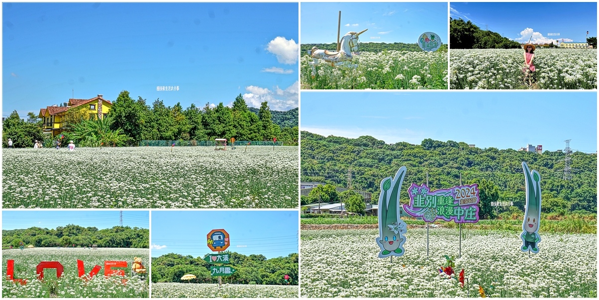 桃園,大溪,桃園景點,大溪景點,大溪韭菜花田,韭菜花,花季,市集,七張福德宮