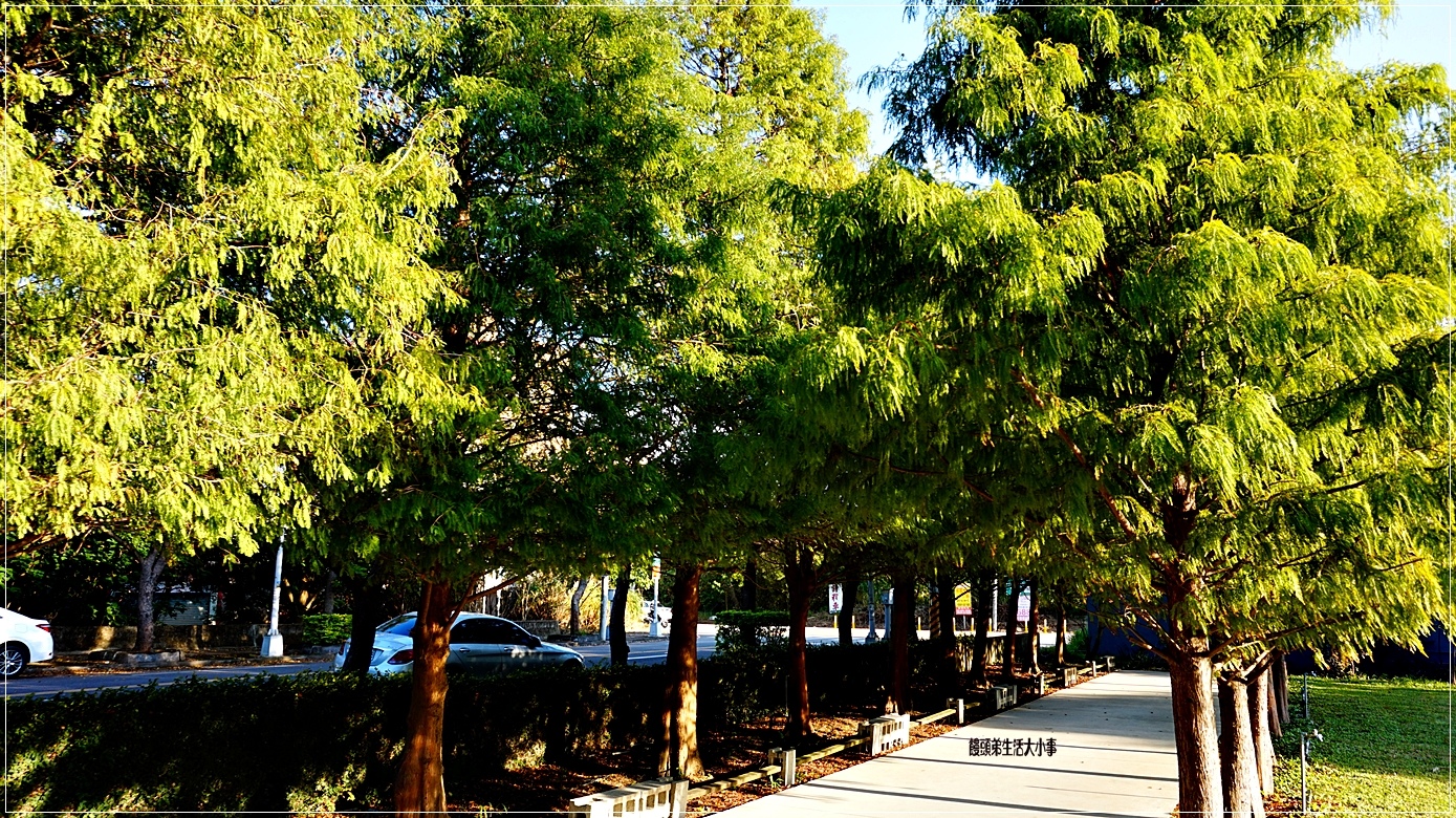 /tmp/phpk5jiaH /tmp/phpk5jiaH