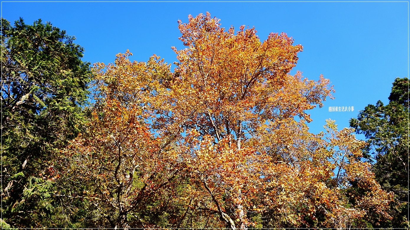 /tmp/phpXpXAef /tmp/phpXpXAef