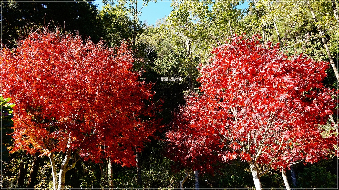 /tmp/phpejE7qP /tmp/phpejE7qP