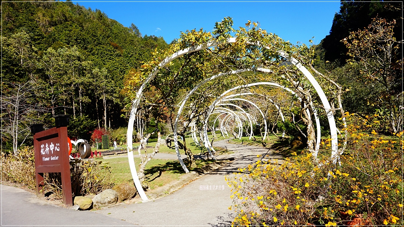 /tmp/php1eEHbn /tmp/php1eEHbn