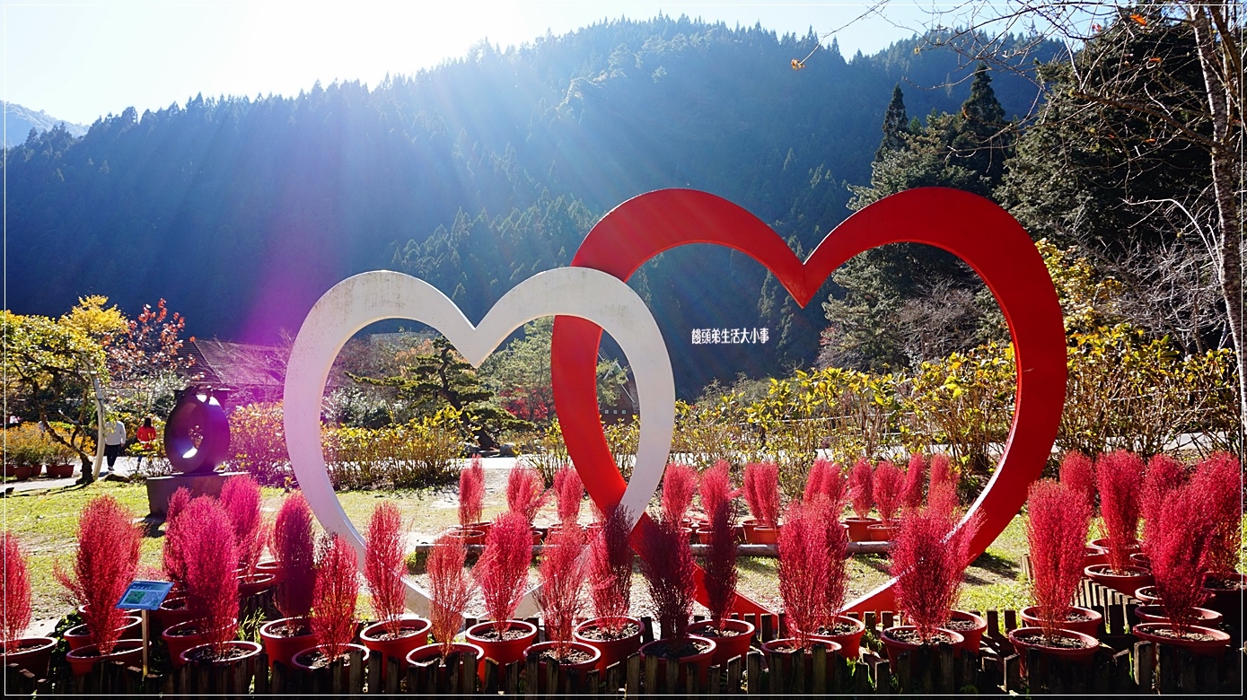 /tmp/phpDXstO4 /tmp/phpDXstO4