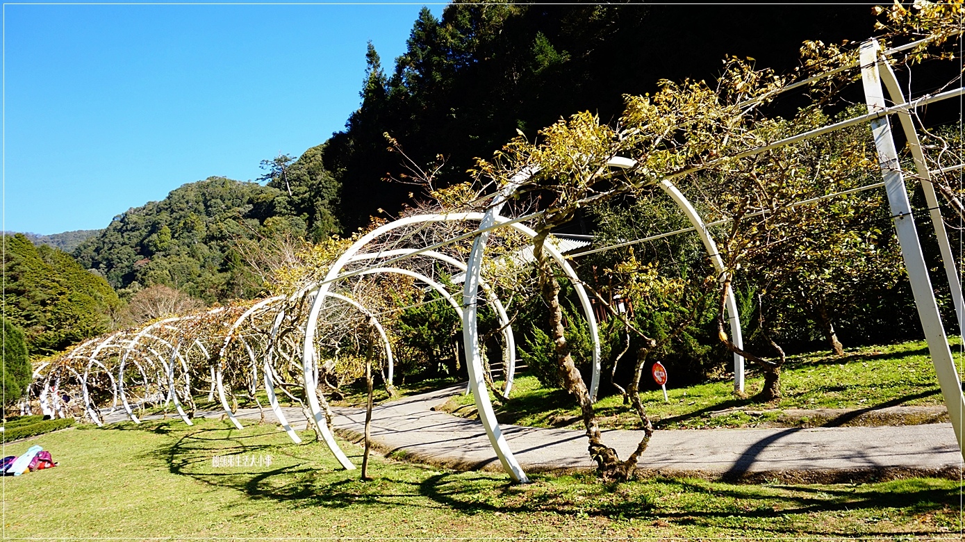 /tmp/phpqOOIBI /tmp/phpqOOIBI