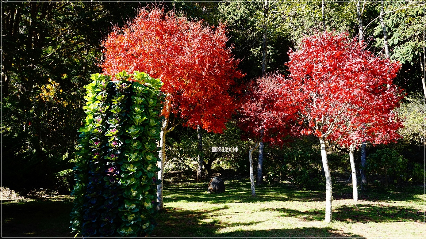 /tmp/php8rL3Fr /tmp/php8rL3Fr