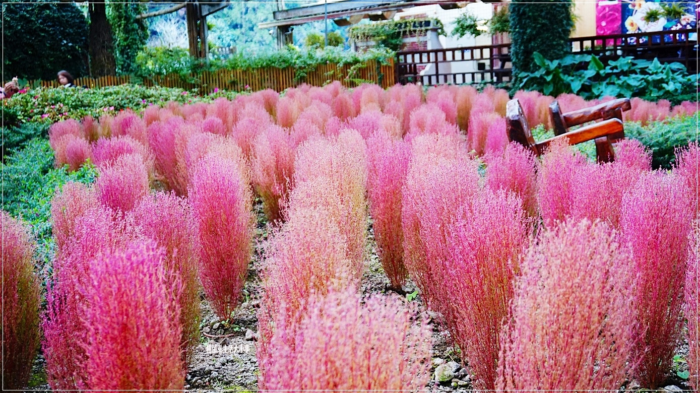 /tmp/phpIV0kHS /tmp/phpIV0kHS