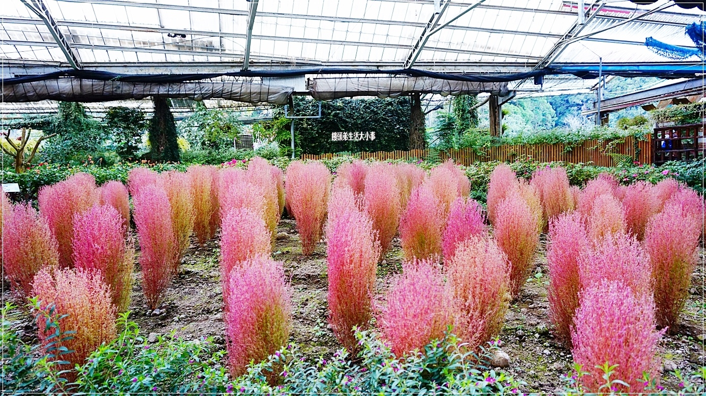 /tmp/phpKKnA6l /tmp/phpKKnA6l