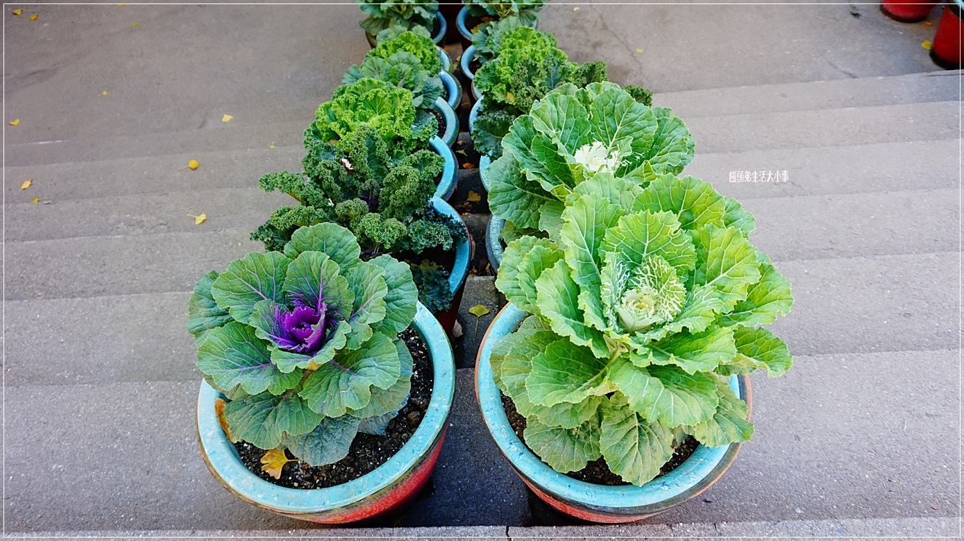 /tmp/phpFtNGAp /tmp/phpFtNGAp