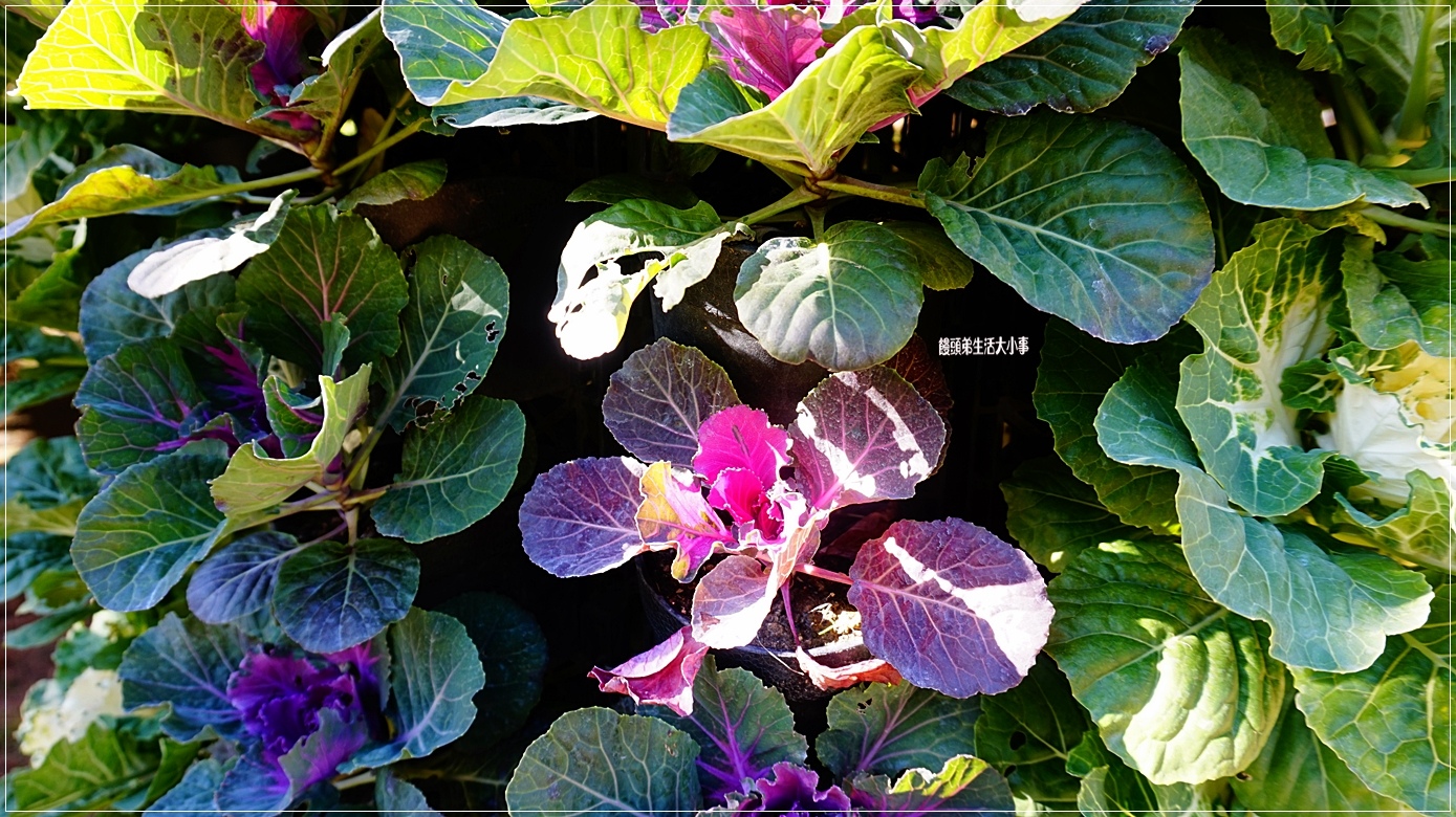 /tmp/phptmZqNS /tmp/phptmZqNS