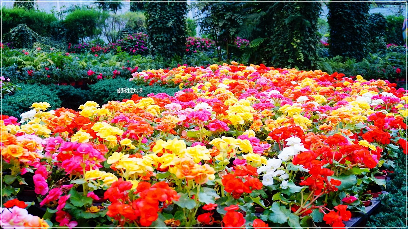 /tmp/phpoJoGqQ /tmp/phpoJoGqQ