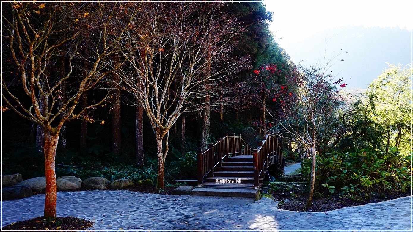 /tmp/phpDetR0W /tmp/phpDetR0W