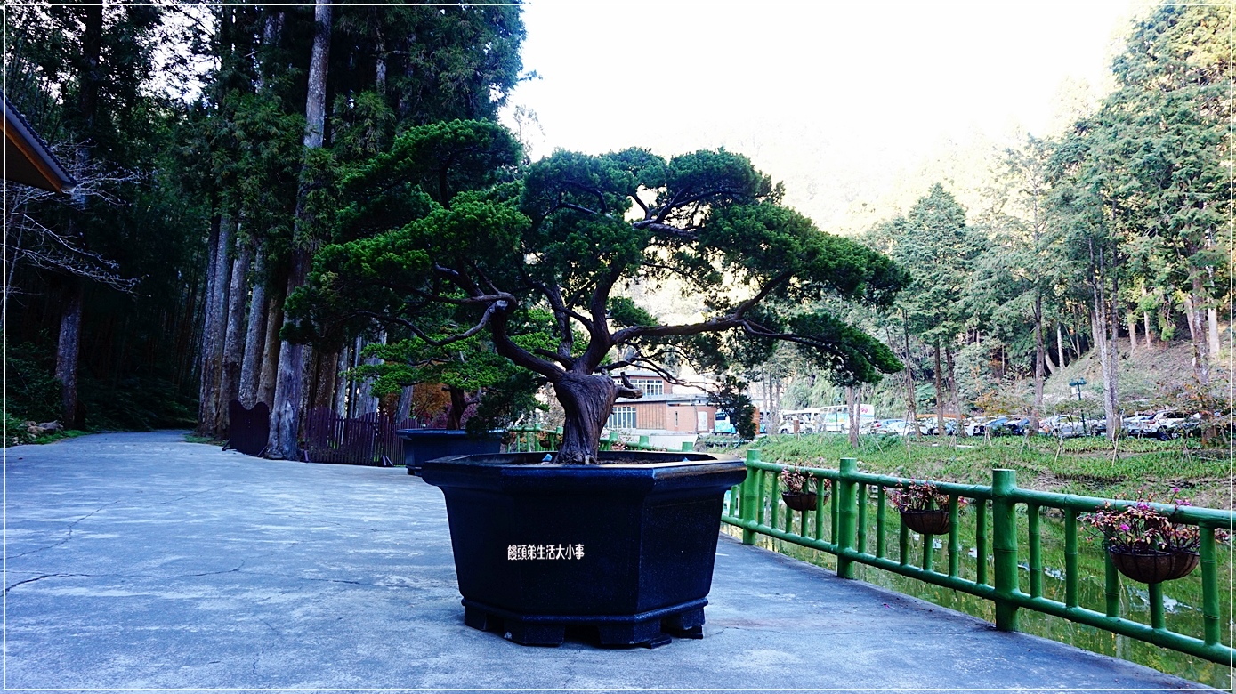 /tmp/phpuUiTIE /tmp/phpuUiTIE