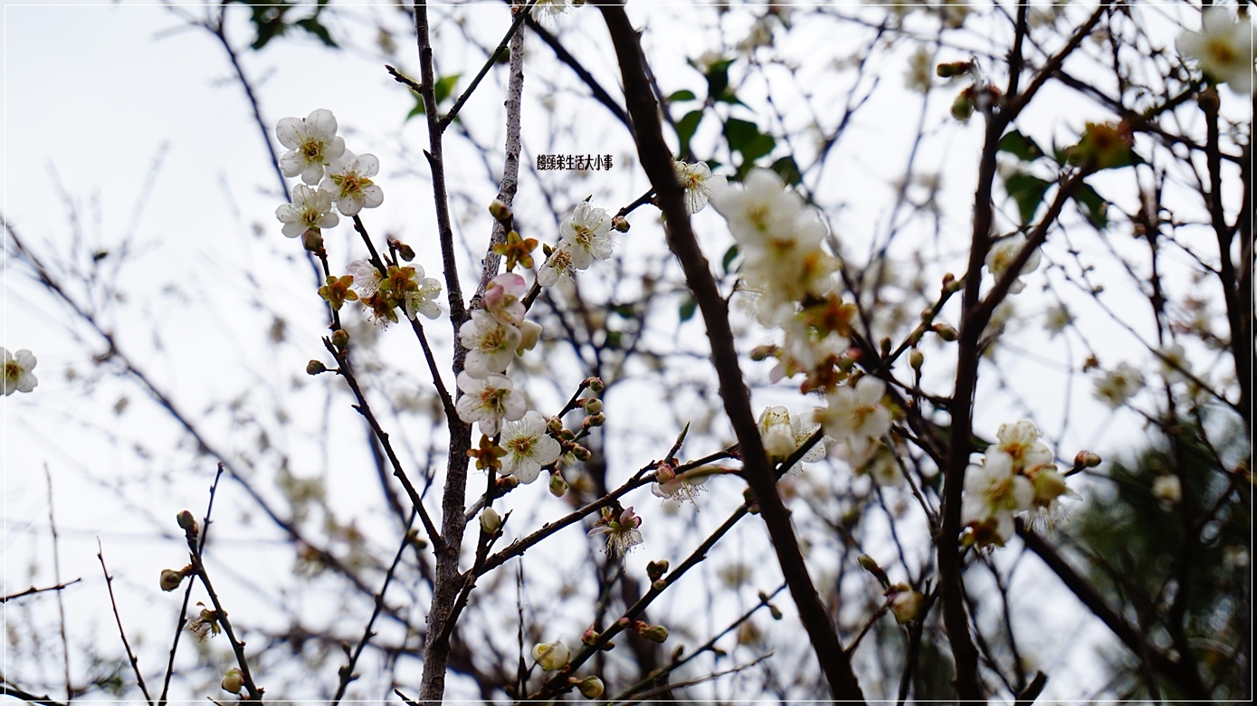 /tmp/phpvMoifB