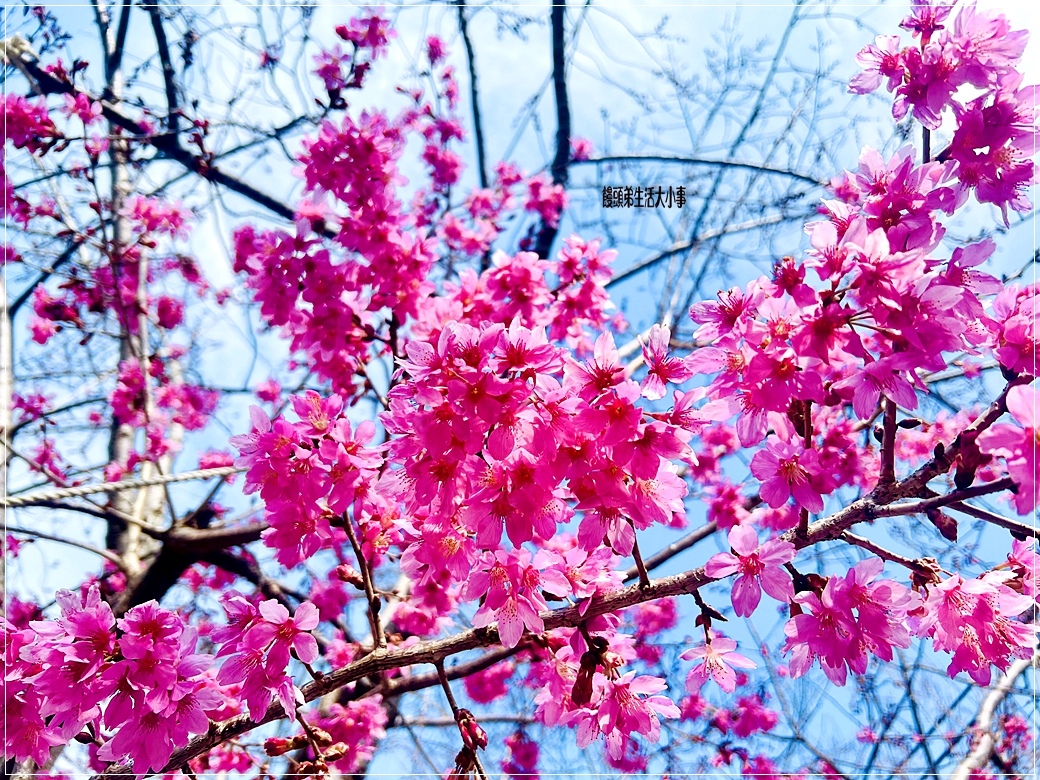 /tmp/phpoNyED6 /tmp/phpoNyED6