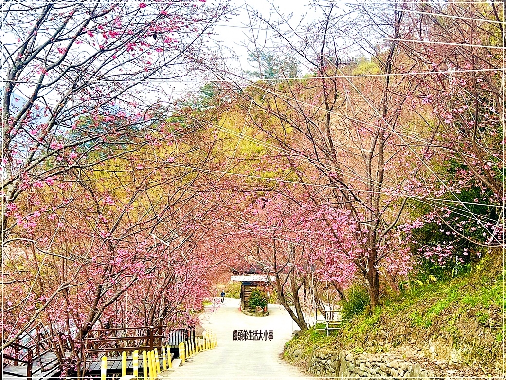 /tmp/phpFcYeHM /tmp/phpFcYeHM