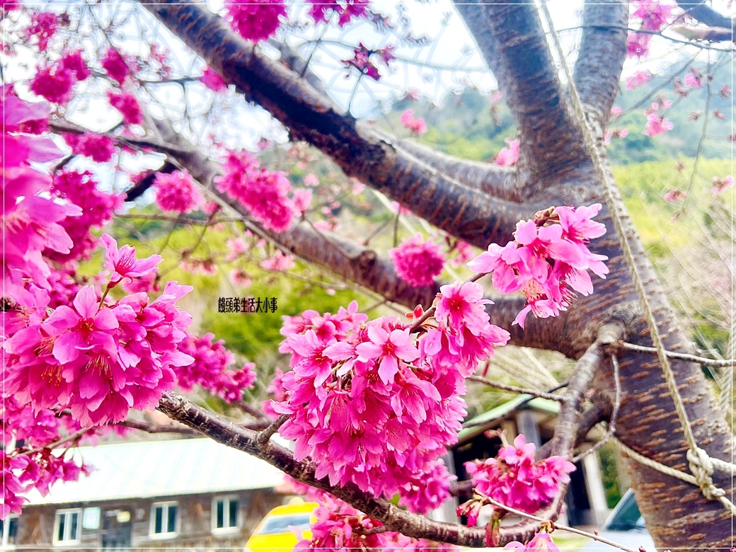 /tmp/phpy67mar /tmp/phpy67mar