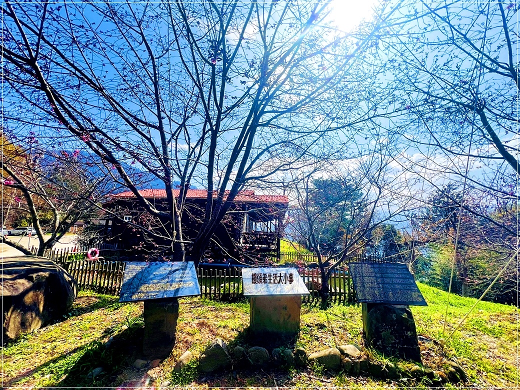 /tmp/phpIONk2t /tmp/phpIONk2t