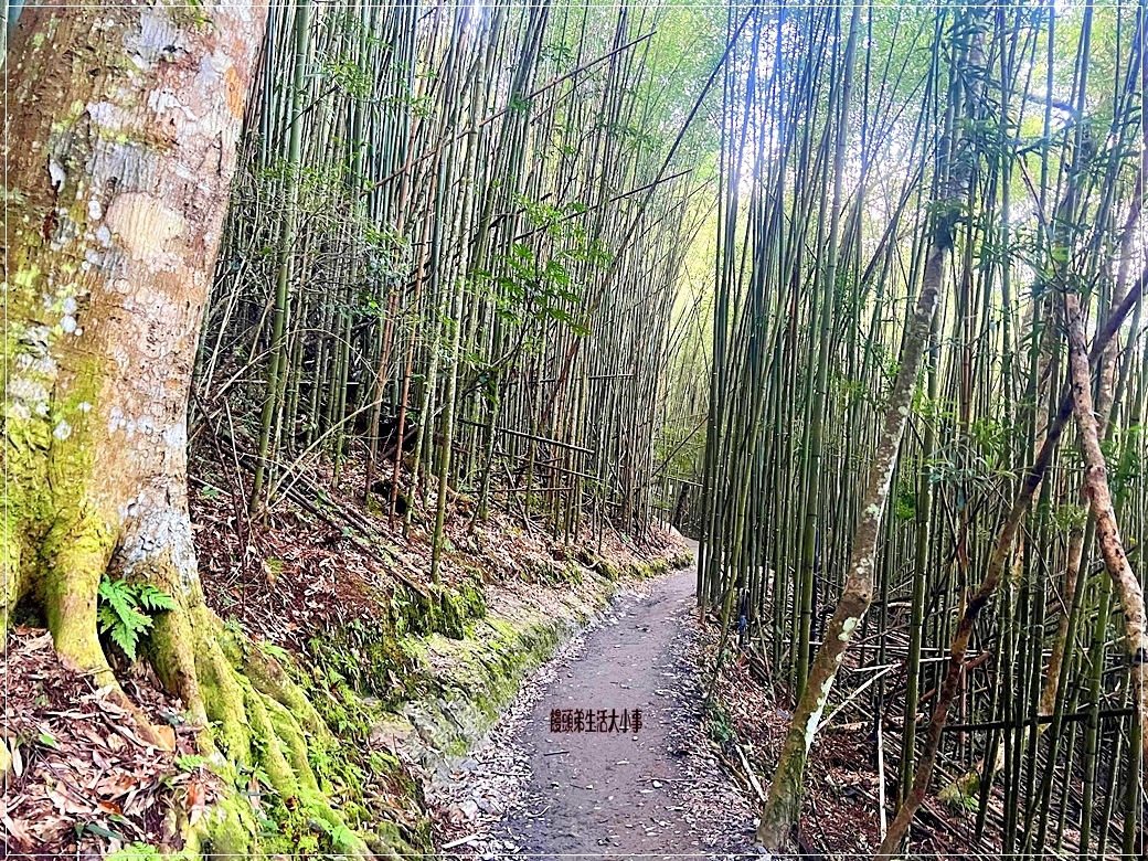 /tmp/php6F0uS9 /tmp/php6F0uS9