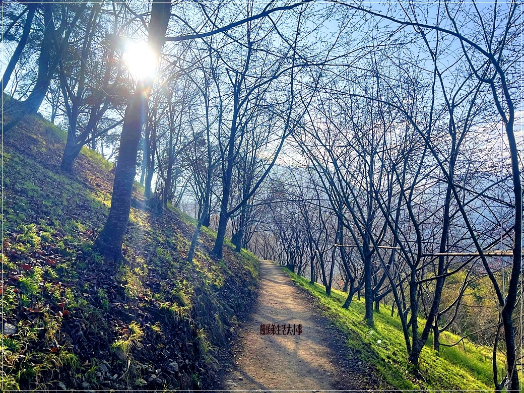 /tmp/phpxLU5vK /tmp/phpxLU5vK