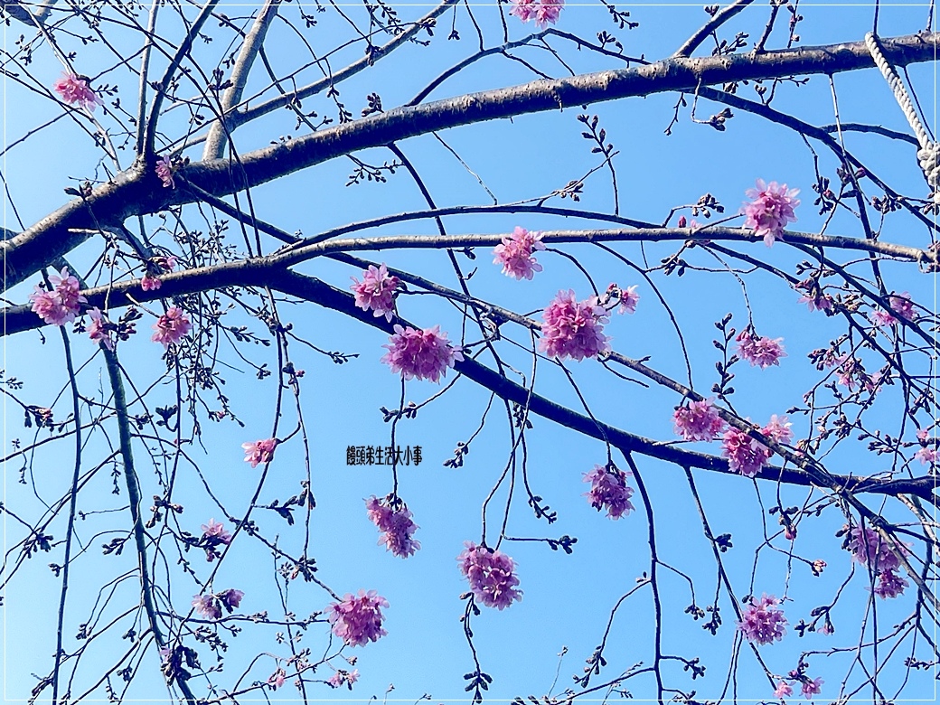 /tmp/phpVcpTaG /tmp/phpVcpTaG