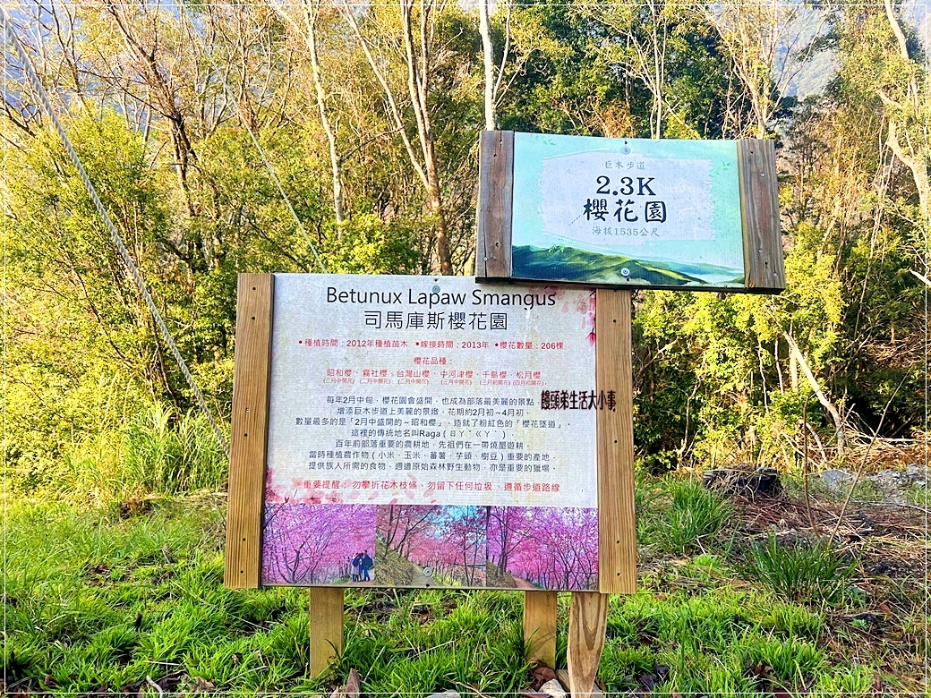 /tmp/phpiVhjEP /tmp/phpiVhjEP