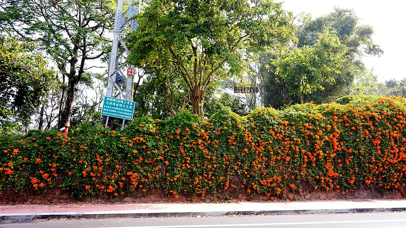 /tmp/phpQud44y /tmp/phpQud44y