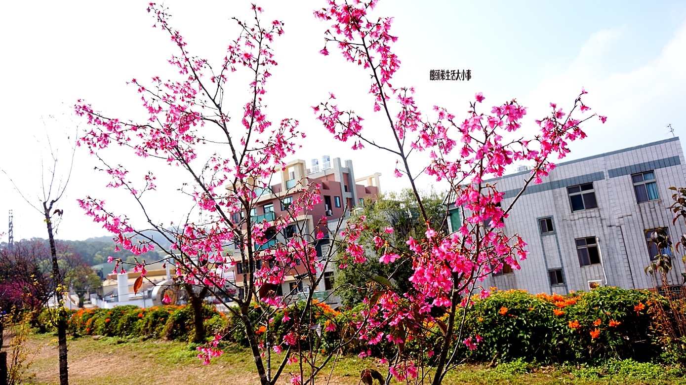 /tmp/phpQ089Mu /tmp/phpQ089Mu