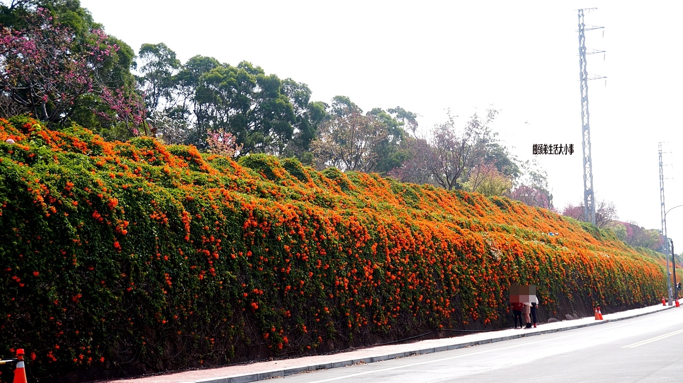 /tmp/phpCGmEkQ /tmp/phpCGmEkQ