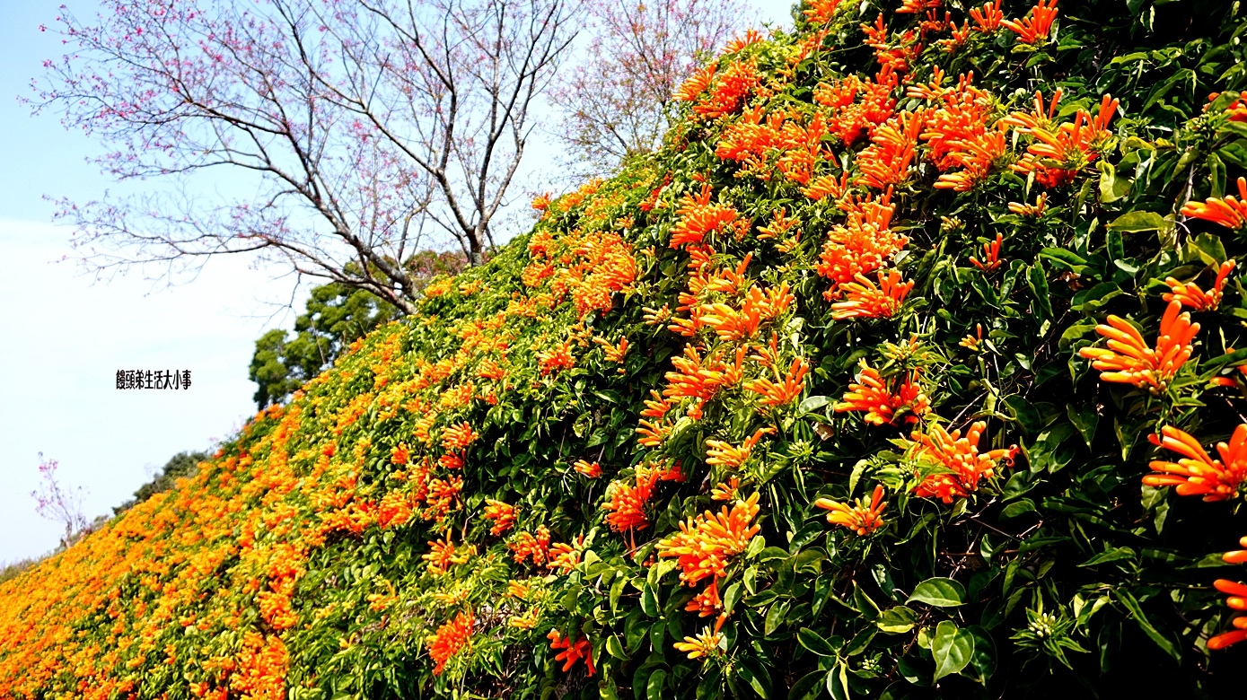 /tmp/phpMiAISA /tmp/phpMiAISA