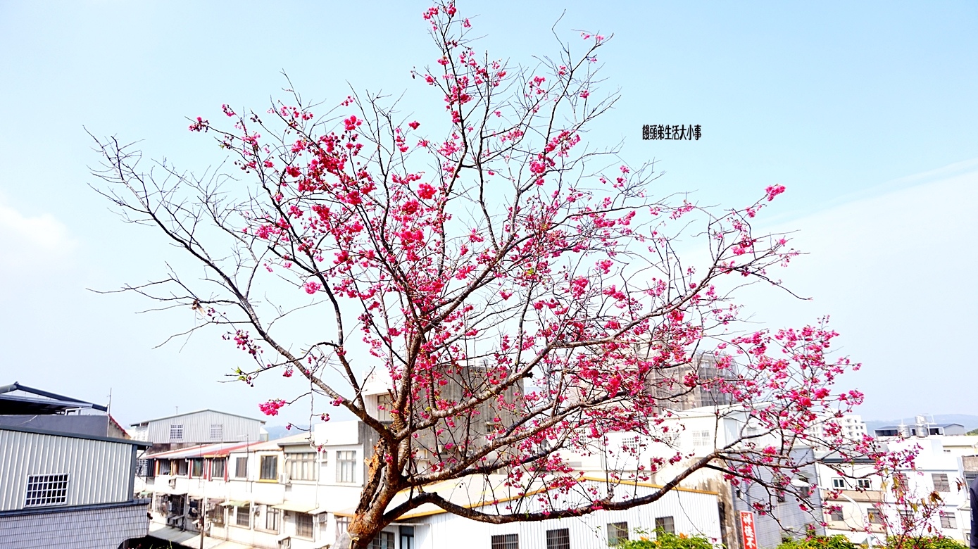 /tmp/phpYvsnpE /tmp/phpYvsnpE