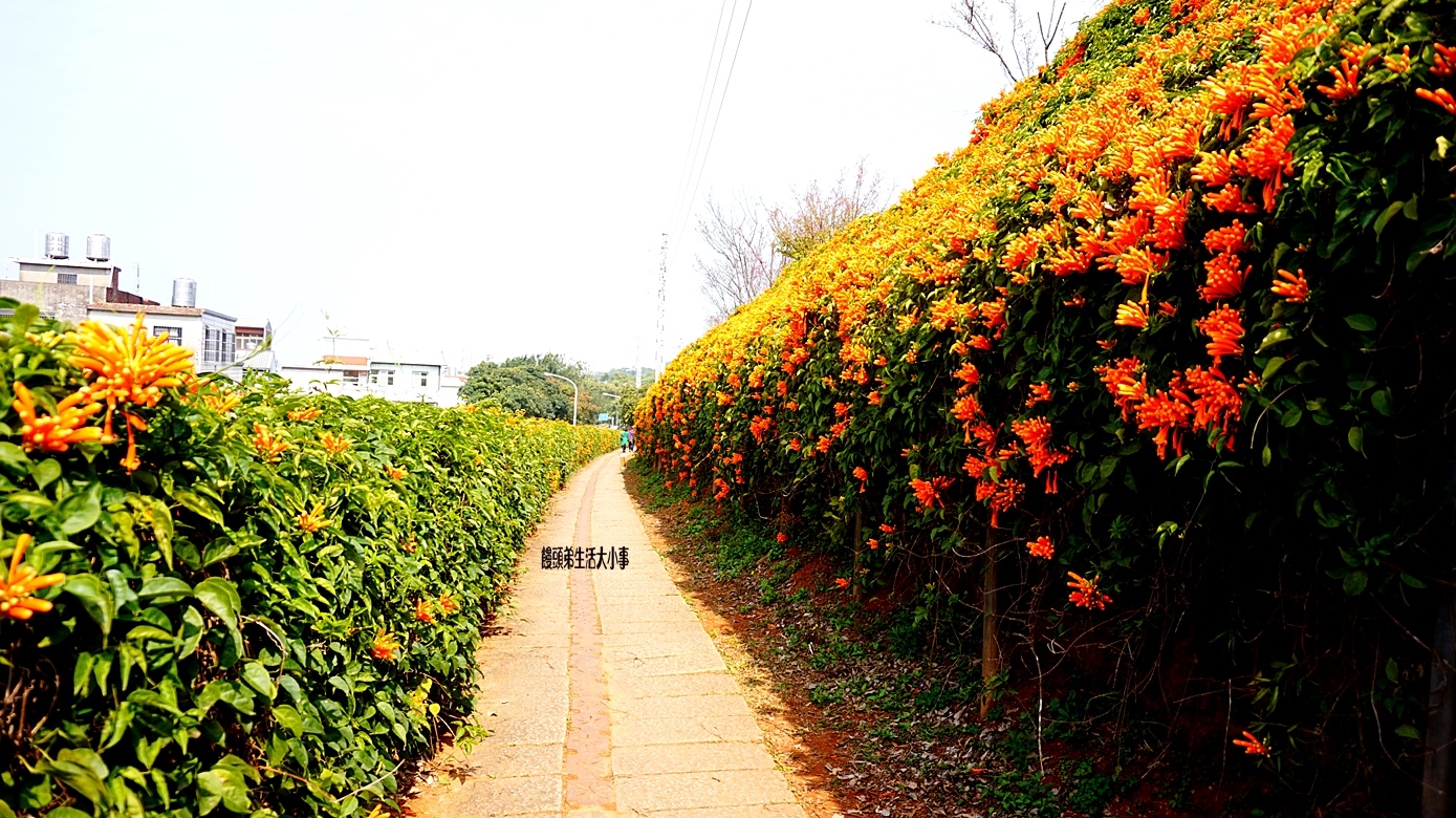 /tmp/phpe9s6pb /tmp/phpe9s6pb