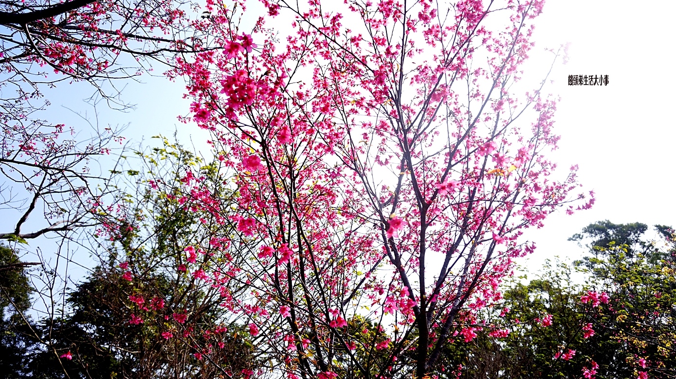 /tmp/phpETcfTl /tmp/phpETcfTl