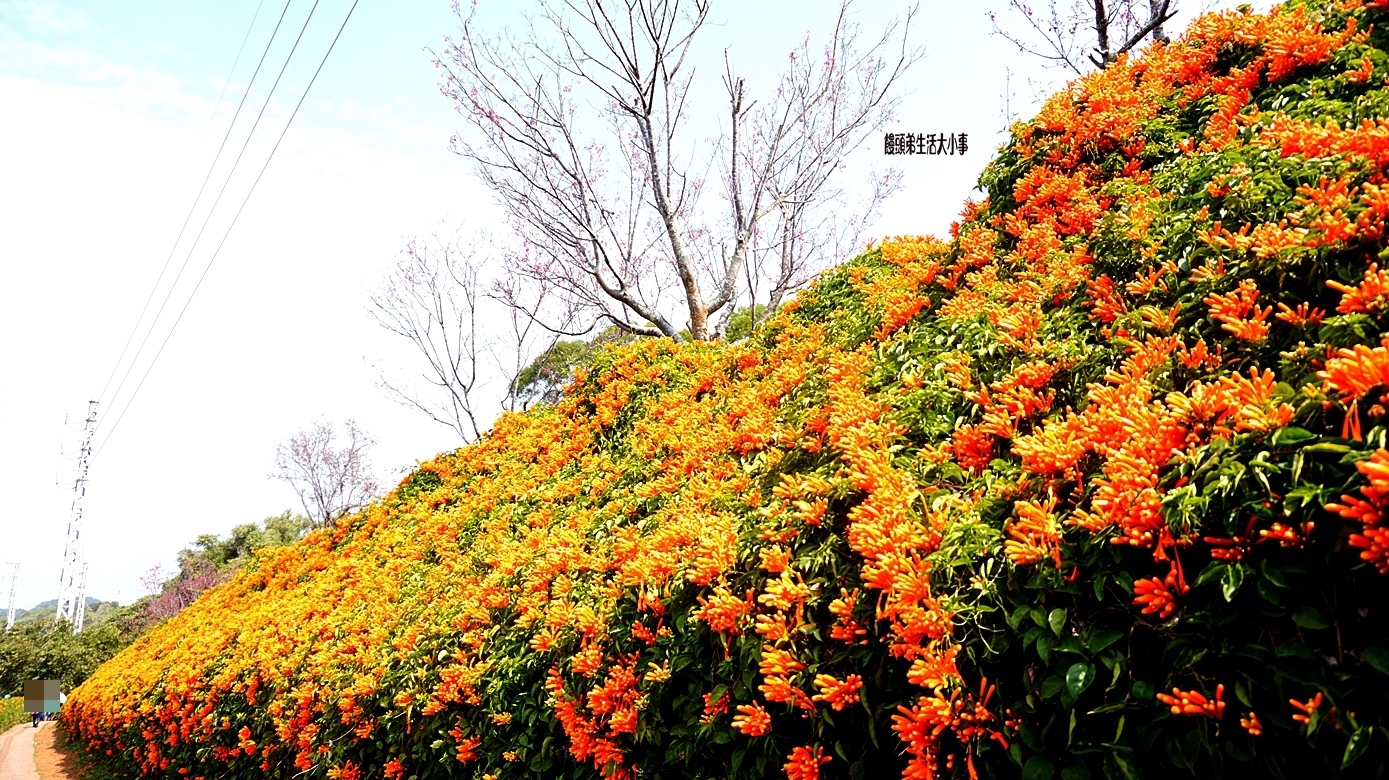 /tmp/php8WfDTi /tmp/php8WfDTi