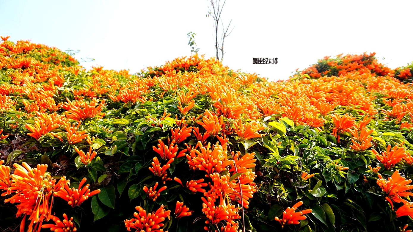 /tmp/phpOzgOHO /tmp/phpOzgOHO