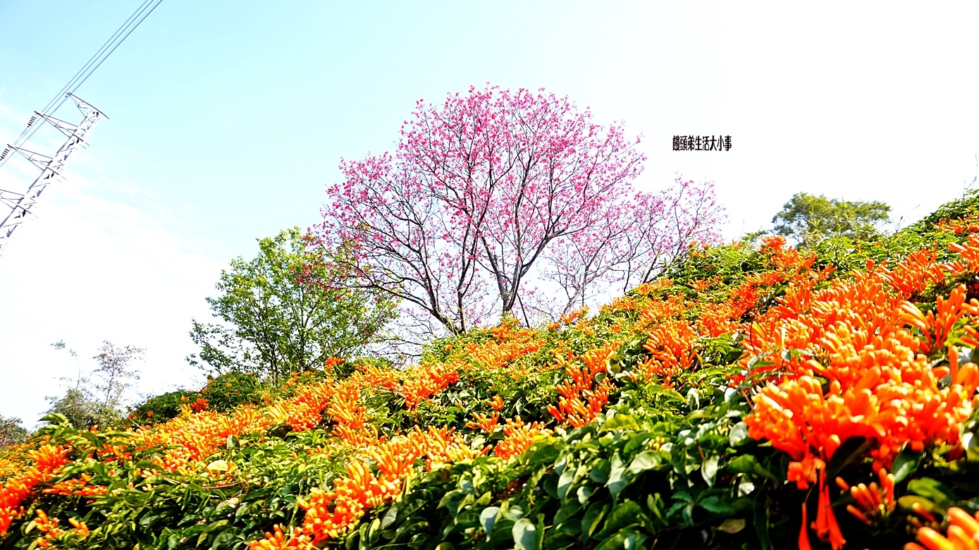 /tmp/phpQDmJNn /tmp/phpQDmJNn