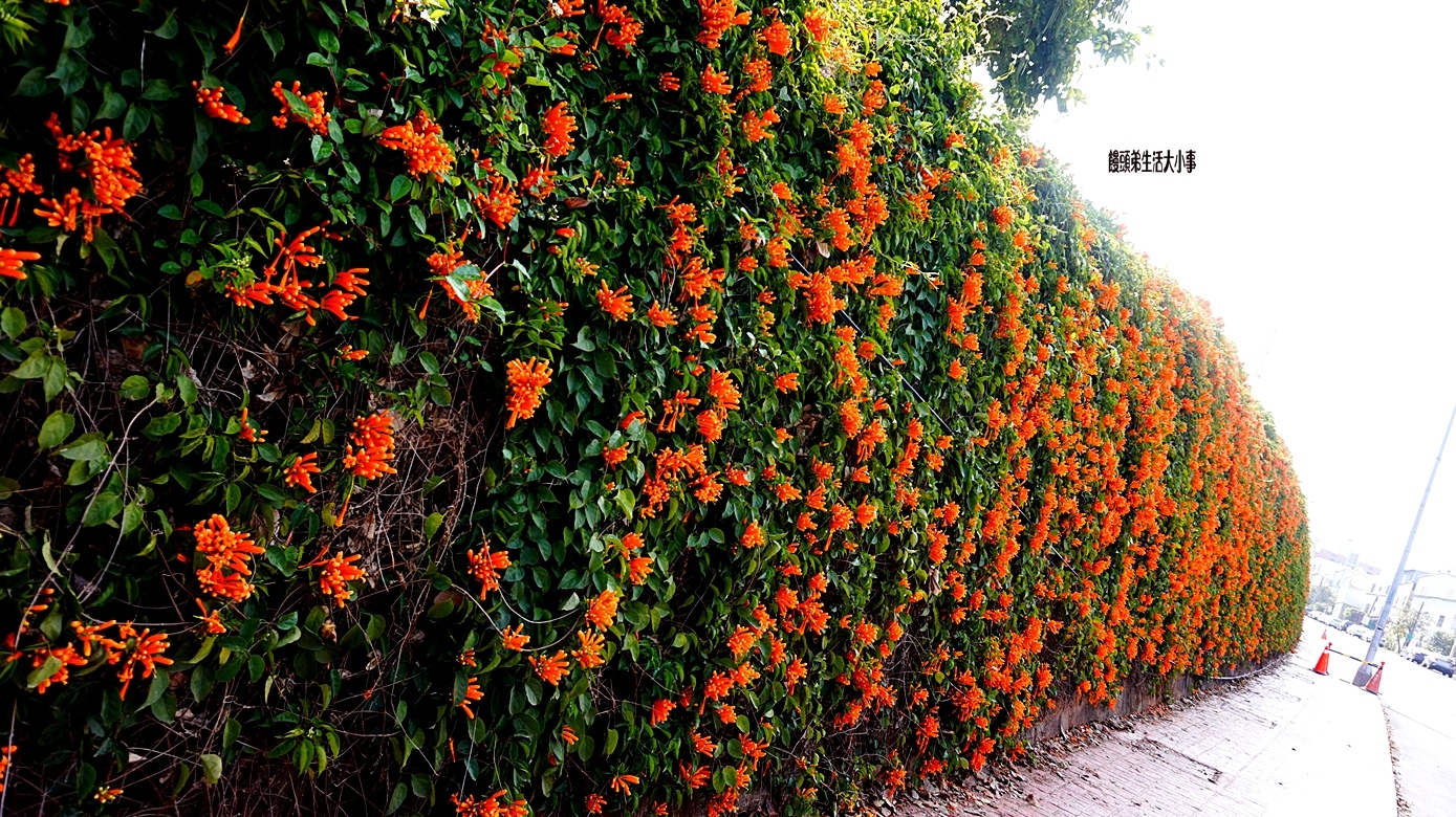 /tmp/phpmXwCs3 /tmp/phpmXwCs3