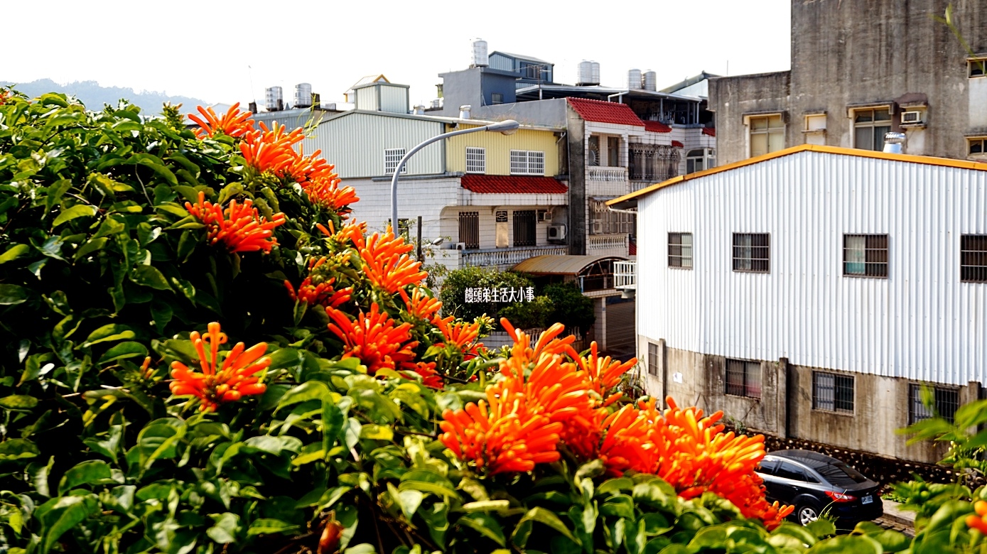 /tmp/phpkBYDSO /tmp/phpkBYDSO