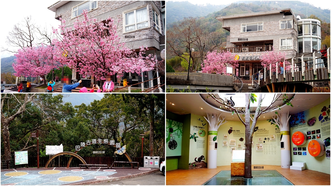 /tmp/phpClR5ar /tmp/phpClR5ar