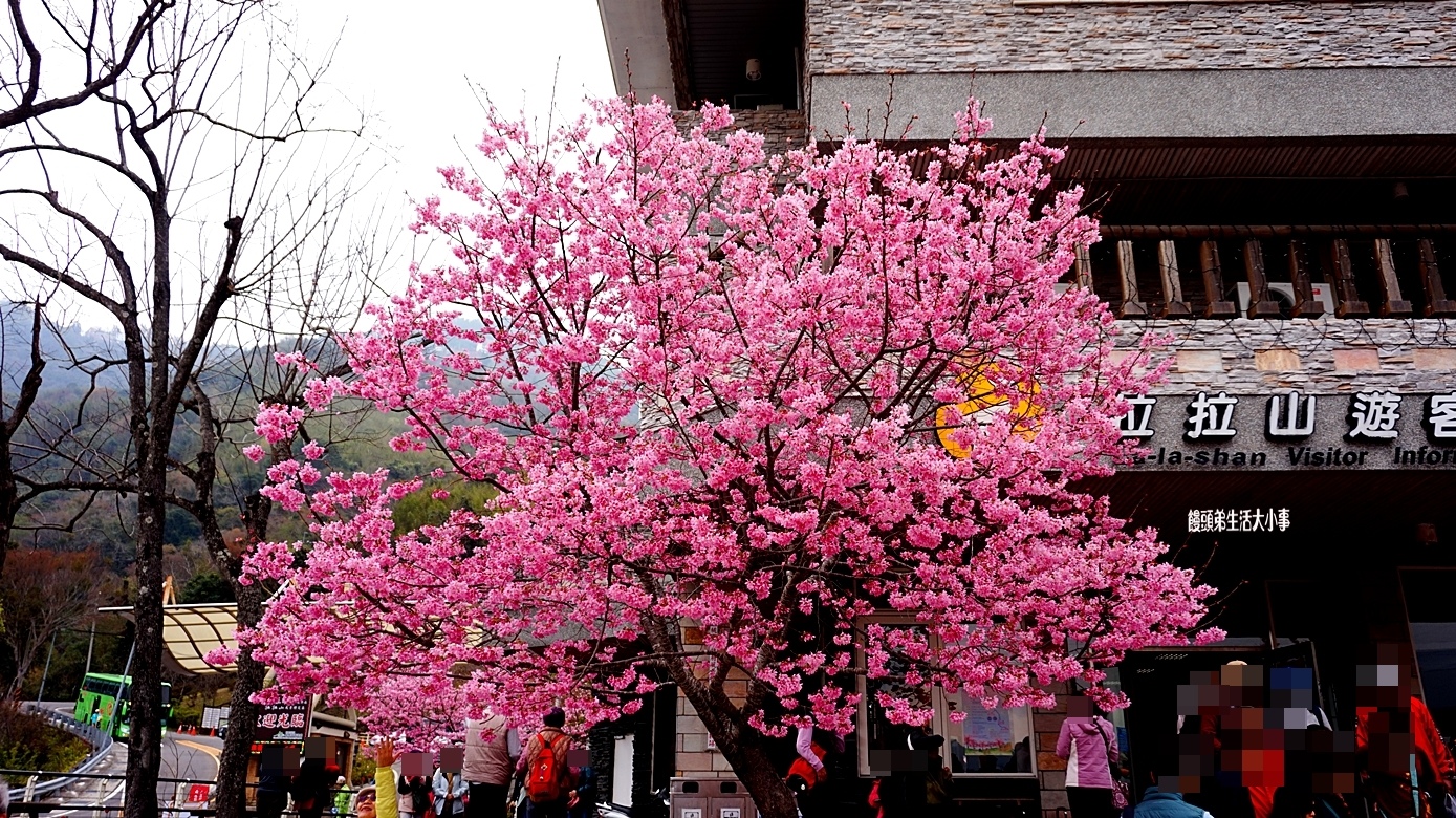 /tmp/phpaJYDJD /tmp/phpaJYDJD