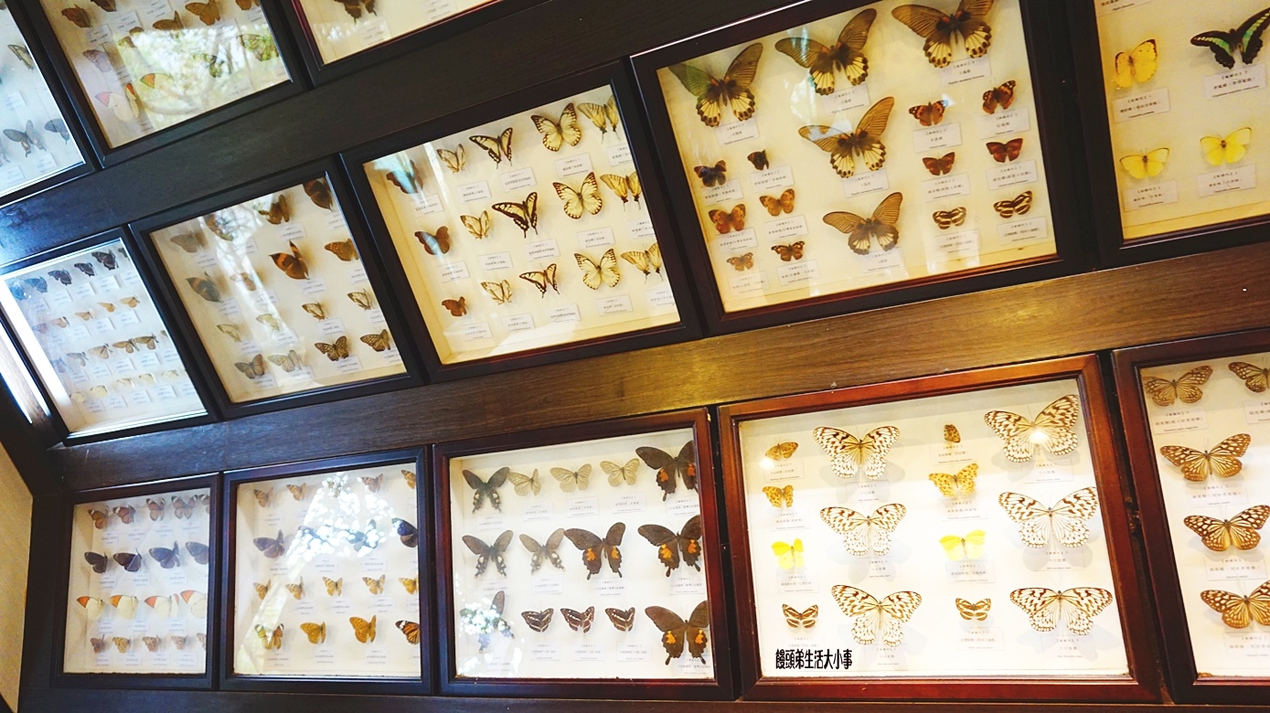 /tmp/php8MXOVW /tmp/php8MXOVW