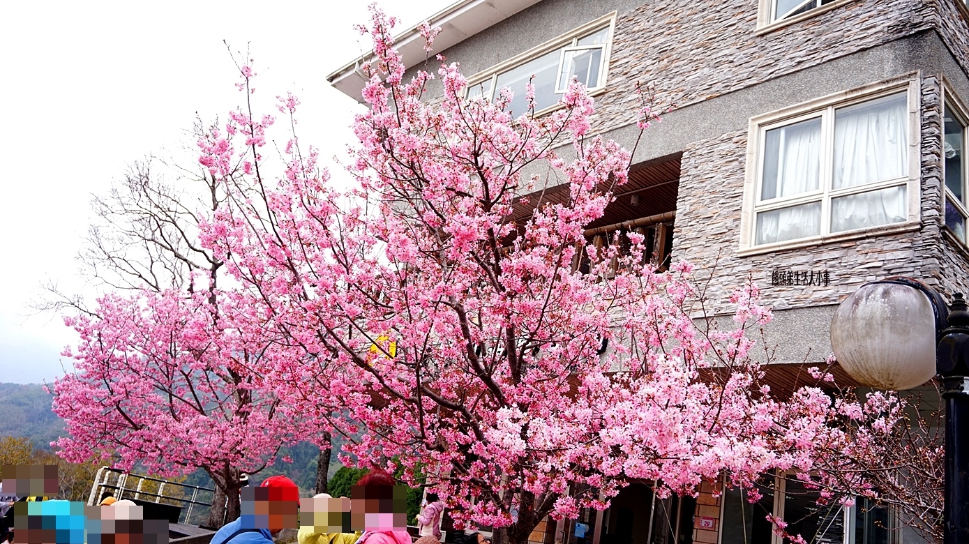 /tmp/php6ft47F /tmp/php6ft47F