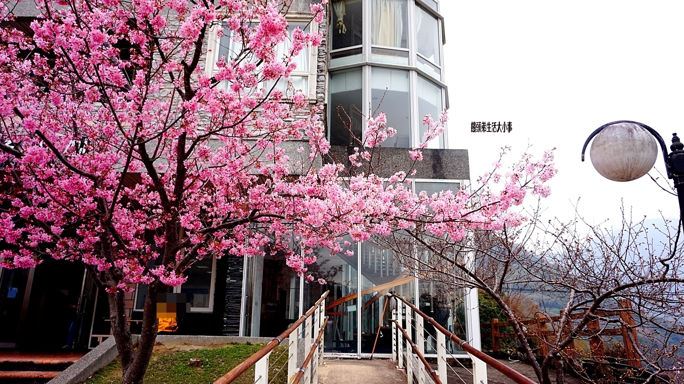 /tmp/phpniuhuL /tmp/phpniuhuL