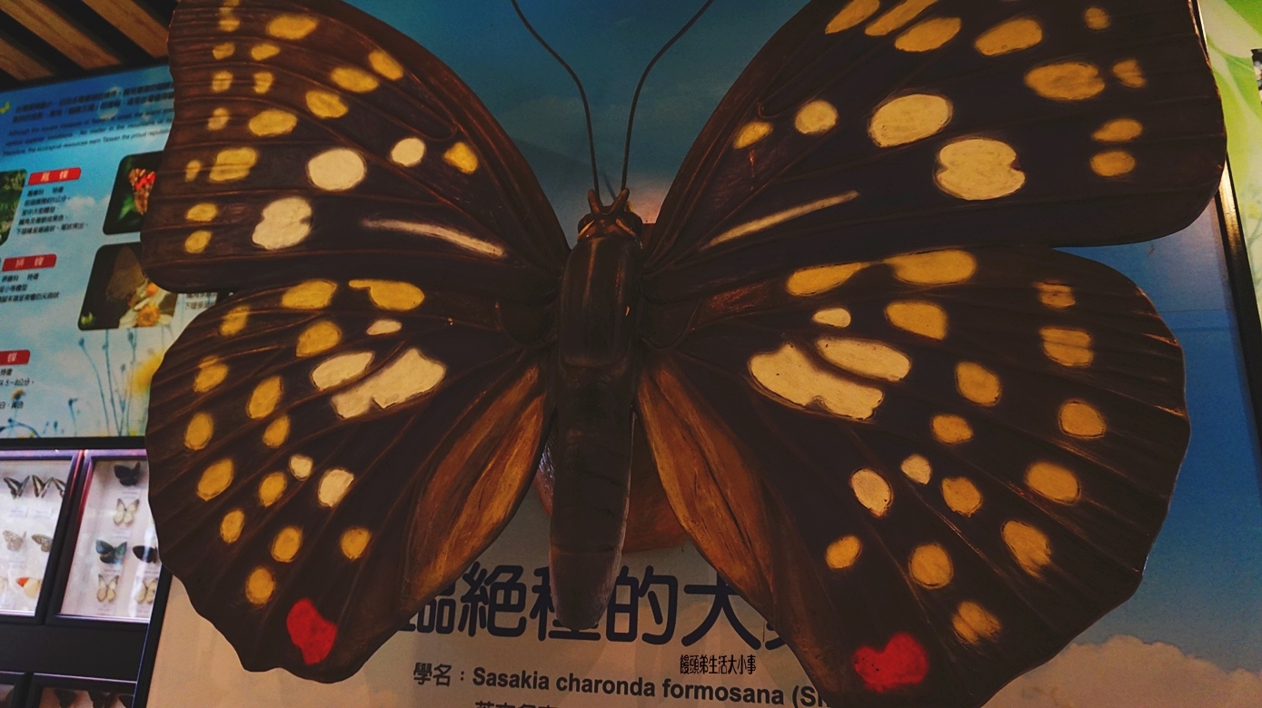 /tmp/php5dQTXt /tmp/php5dQTXt