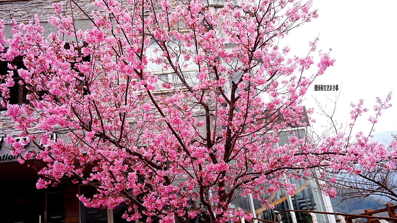 /tmp/phpQUOedU /tmp/phpQUOedU