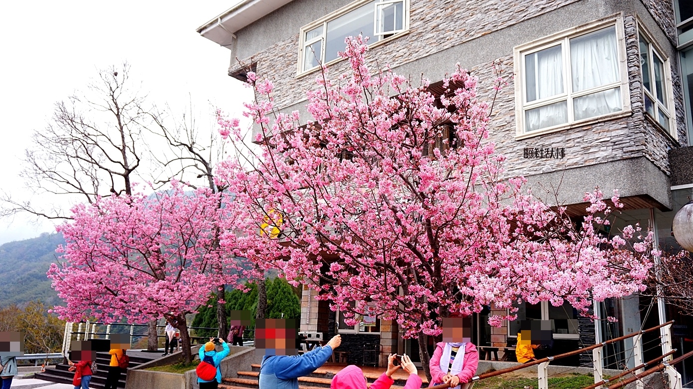 /tmp/phpxCkyhr /tmp/phpxCkyhr