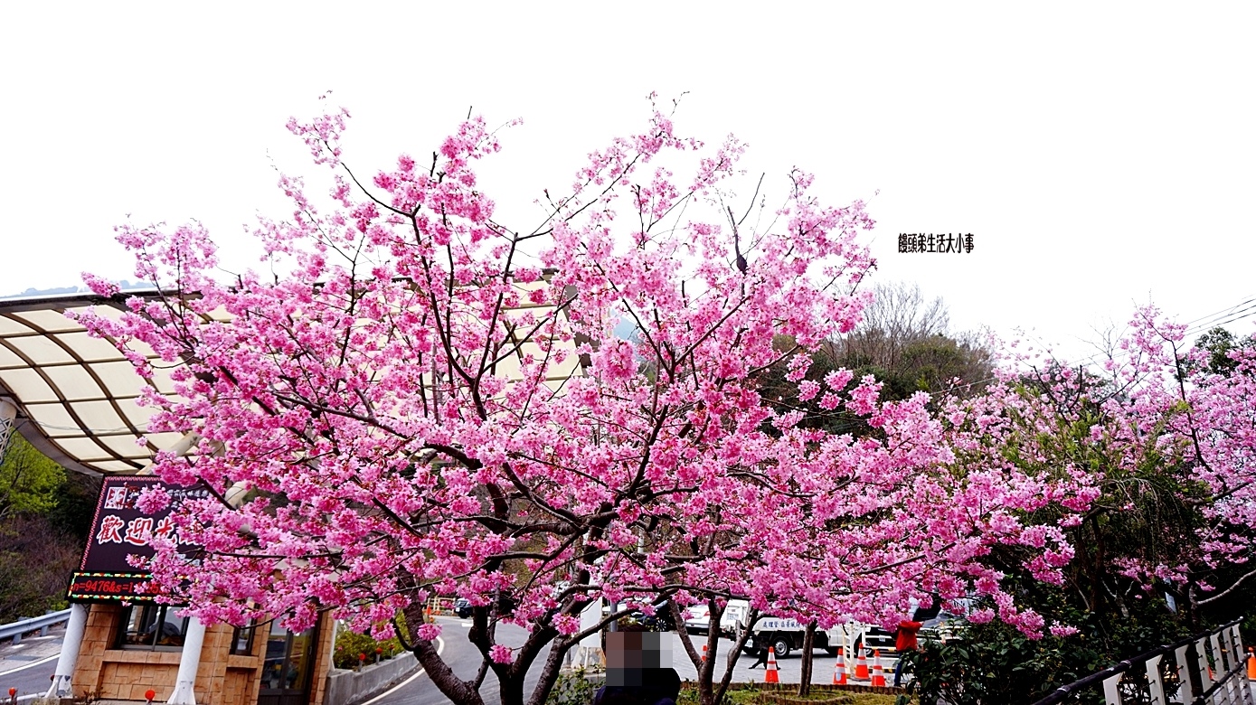 /tmp/phpjH6B43 /tmp/phpjH6B43