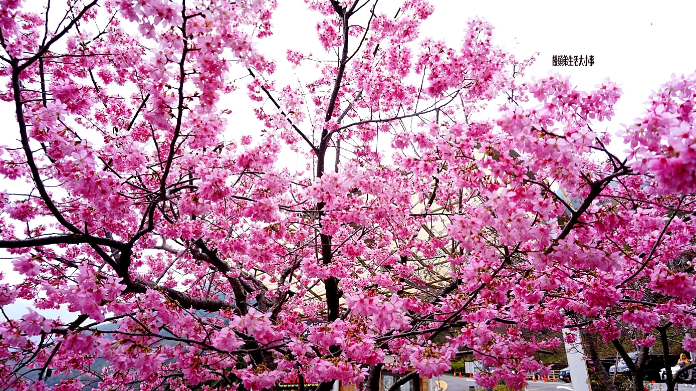 /tmp/phpyZ0vOe /tmp/phpyZ0vOe