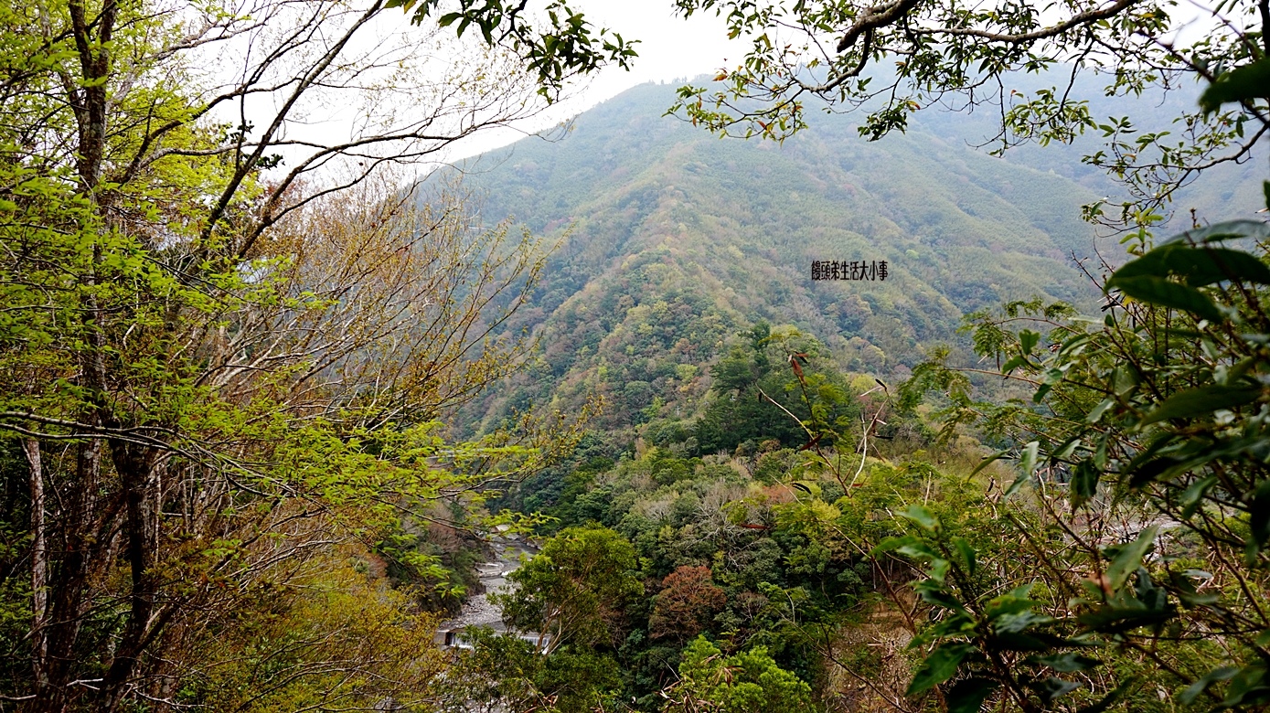 /tmp/phpOEzA6x /tmp/phpOEzA6x