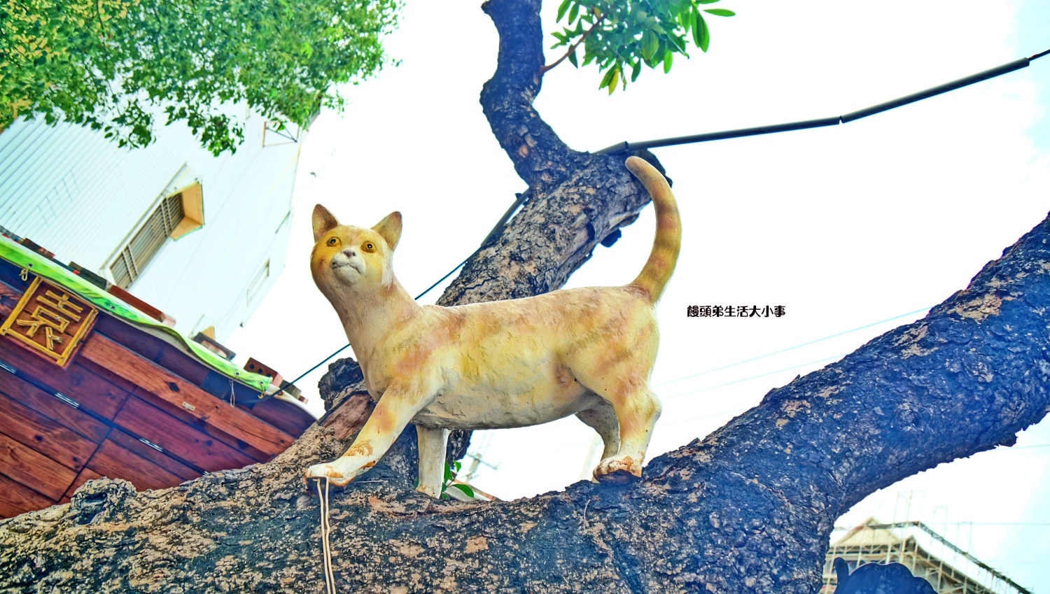 /tmp/phpvPJaUX /tmp/phpvPJaUX